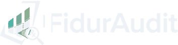 FidurAudit